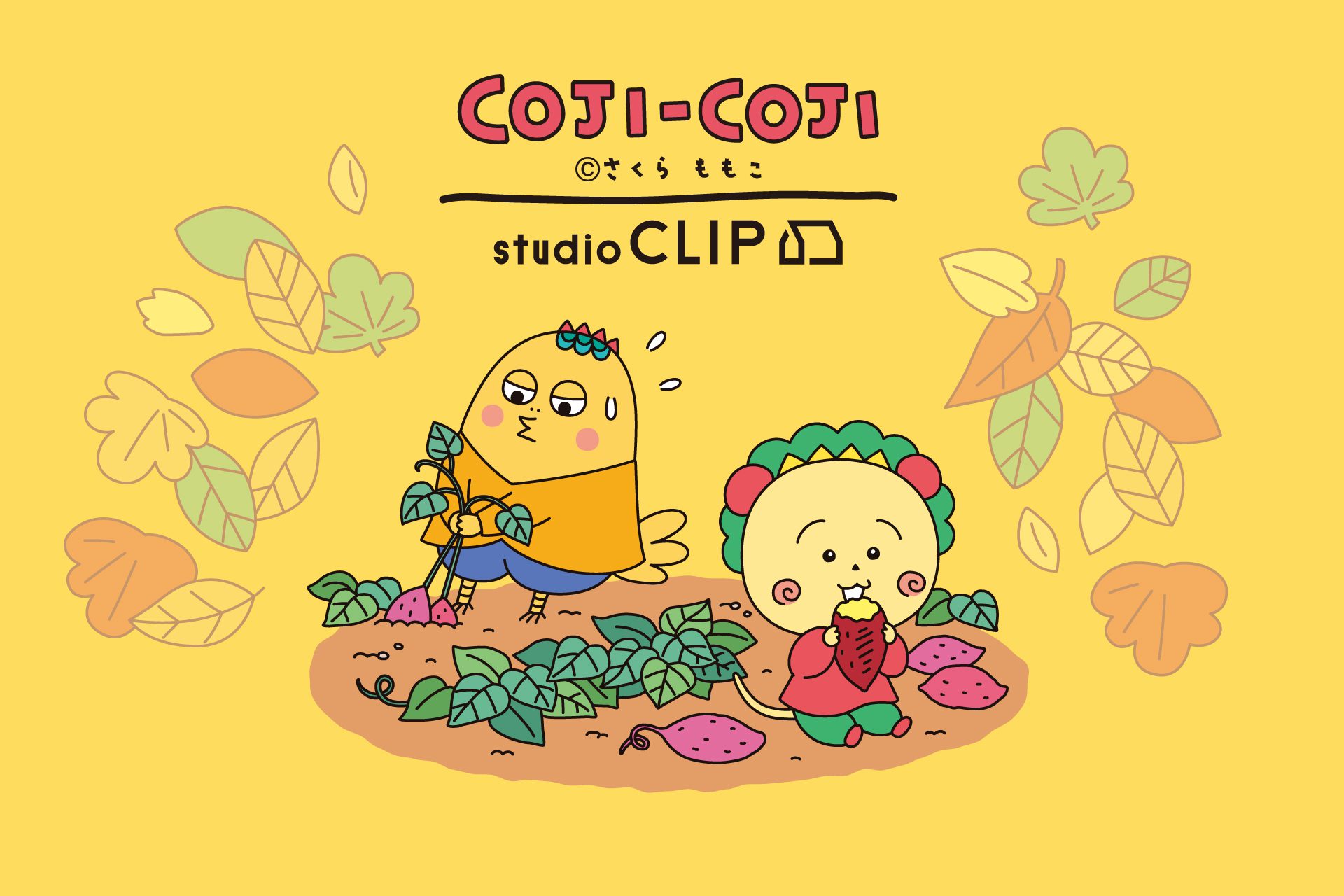 Coji-Coji × studio CLIP 3rd Collab 2026 Autumn | All Items